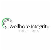 Wellbore Integrity Solutions
